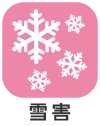 雪害